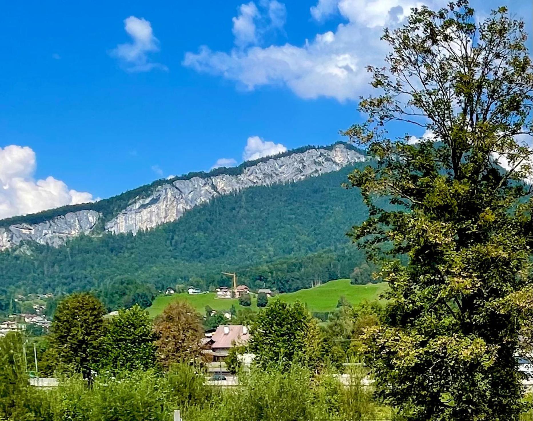 Mitzis Stubn Apartments - Bad Goisern - 24-Hour Self Check-In Luaran gambar
